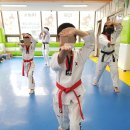 아이누리 인성 태권도 이미지