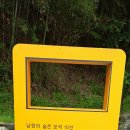 길 따라 멋 따라 (몽심재와 시간 여행)