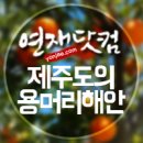 용머리농수산