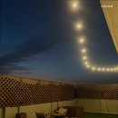 스테이마레 이미지