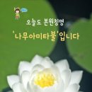 마땅히 내 선근이 적음을 믿는 까닭에 본원에 승탁해서 오늘도 본원칭명 한결같이 나무아미타불()()() 이미지