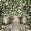 W 스퀘어 이미지