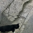 비에이치씨논산양촌점 이미지