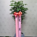 아디스익스프레스