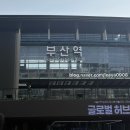 돈유1로 | 유낭이일기🐶 [26.03.07] 대학친구들에게 청첩장 주려 부산갔다가 부산 남포에 있는 스튜디오 우화에서...