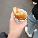 뚜벅이 대구 겨울 여행 코스로 갈만한곳 추천 서문시장 달성공원 동물원 수창청춘맨숀 대구예술발전소 후기