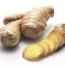 진저(Ginger) - 동구 | 진저(Ginger)