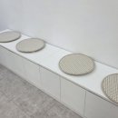 플로레세르