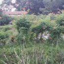 삼송농장 이미지