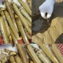 청포대 별주부 이미지