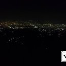 팬더하우스 이미지