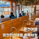 영천한방테마거리 | 영천 가볼만한곳 / 영천한의마을 한방테마거리 족욕체험 후기