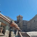 알티드