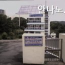 안나노인건강센터 네이버블로그