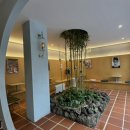 푸바오애견 이미지