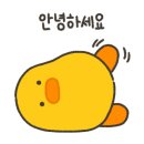 대영종합건재 이미지