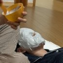 매미캠프 이미지