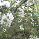 도연농원 이미지