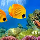 믿음자원 이미지