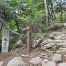 서울 뚜벅이 혼자 금선사 템플스테이 체험형 후기