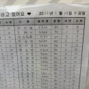 봄소리어린이집 | 부산 수영구, 봄소리 산후도우미 후기 ( 강추 ,,, 슨생님 가지마세요...ㅜ)