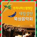 트리니타스 이미지
