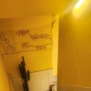 372코인 노래연습장 이미지