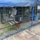 씨유비치 이미지