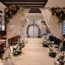 한류드라마 촬영 포 | [명동 결혼식] 포포인츠 바이 쉐라톤 조선 서울 명동, 에볼루션에서 치러진 스몰 웨딩 스냅사진 촬영 후기