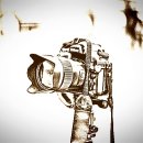 케이스타일(K.style) 이미지