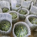 우곡농장 이미지