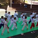 공감태권도장 이미지