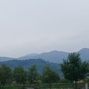 성주 경산리 성밖숲 이미지