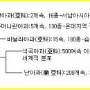 한국춘란 등 동양난의 일반상식과 분류/02(난일용521) 이미지