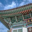 새나리로38번길 이미지