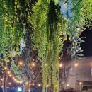 청룡마을1길 15 이미지