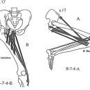 자연의학의 이론과실제 - 17p 이미지