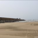 사구해수욕장2 이미지