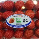 지리산청과 이미지
