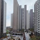 (주)펫스테이트 이미지