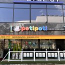 페티포티 이미지