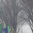 금은모래 캠핑장 | [여주 캠핑] 금은모래 캠핑장 정모 후기! 3조의 인생 햄버거와 감성 캠핑의 기록