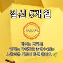 바른이테라피 이미지