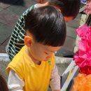 무지개지물
