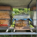 사양농장 이미지