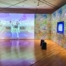 펑키트래블 이미지