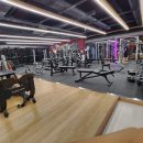 [노원구]노원구 MVgym (업무지원금) + (수업료) + (담당매출의 2%) 오피셜센타헬스골프GX 헬스트레이너 구인합니다 이미지