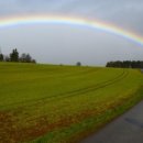 무지개빛사랑 이미지