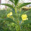 드림스포츠댄스학원 이미지