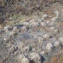 호성농장 이미지